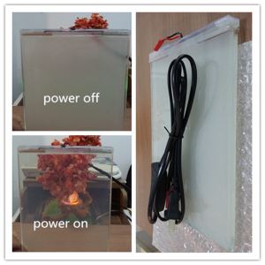 Przełączane inteligentne szkło