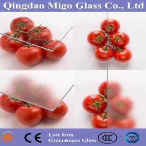 Szkło rozproszone do szklarni