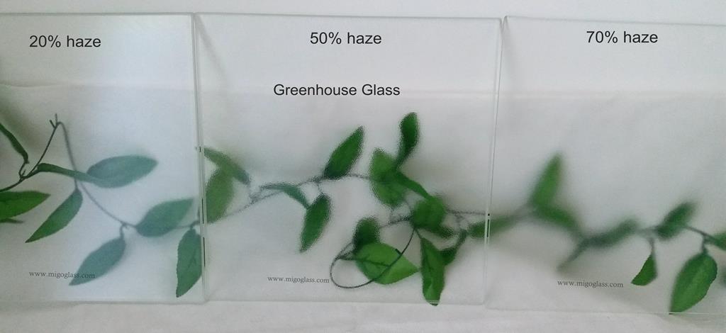 greenhouse glass with 3 hazes.jpg