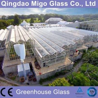 4mm hartowane szkło dla komercyjnych cieplarnianych